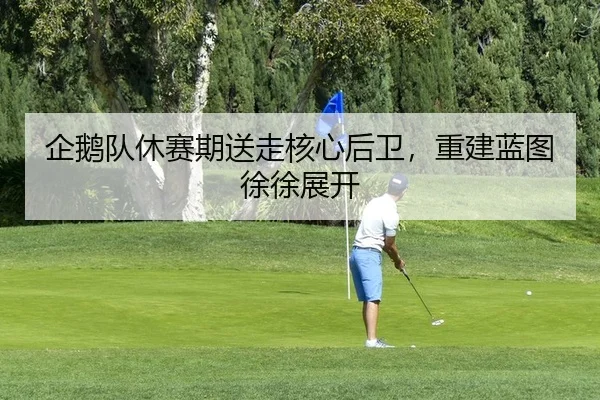 企鹅队休赛期送走核心后卫，重建蓝图徐徐展开